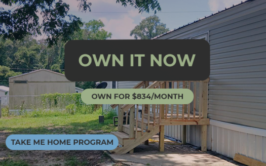 Delabe Forest – 40