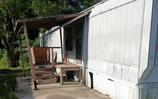 Delabe Forest – 30